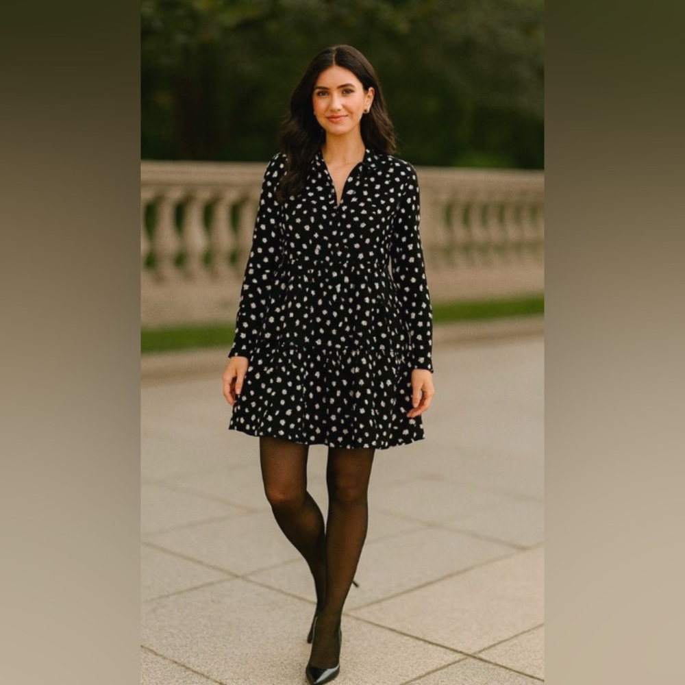Zara Dress